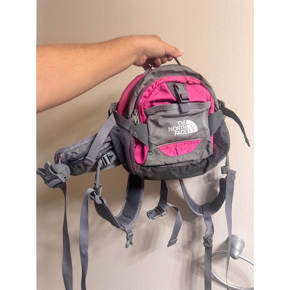 Vintage The North Face Ridge Lumbar Pack Pink Grey Y2K Gorpcore Technical Waist